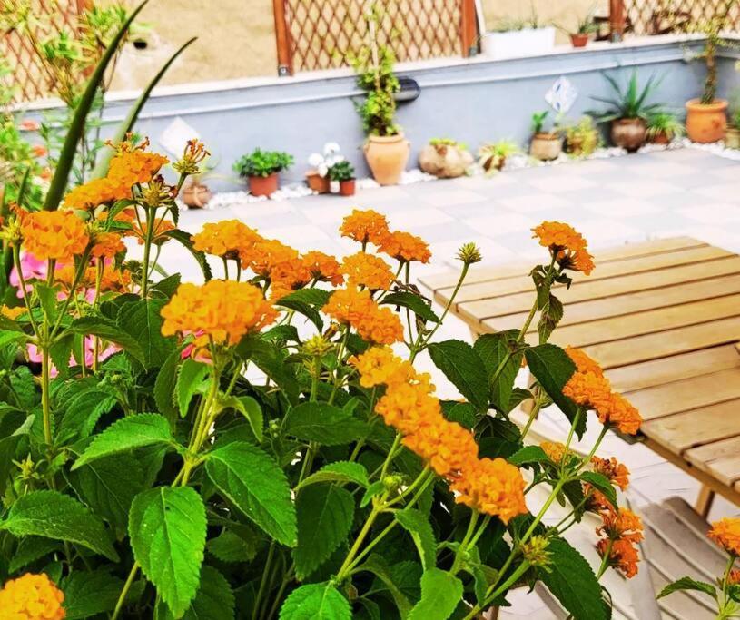 Casetta Poli- Appartamento Con Terrazza - Centro Storico باليرمو المظهر الخارجي الصورة
